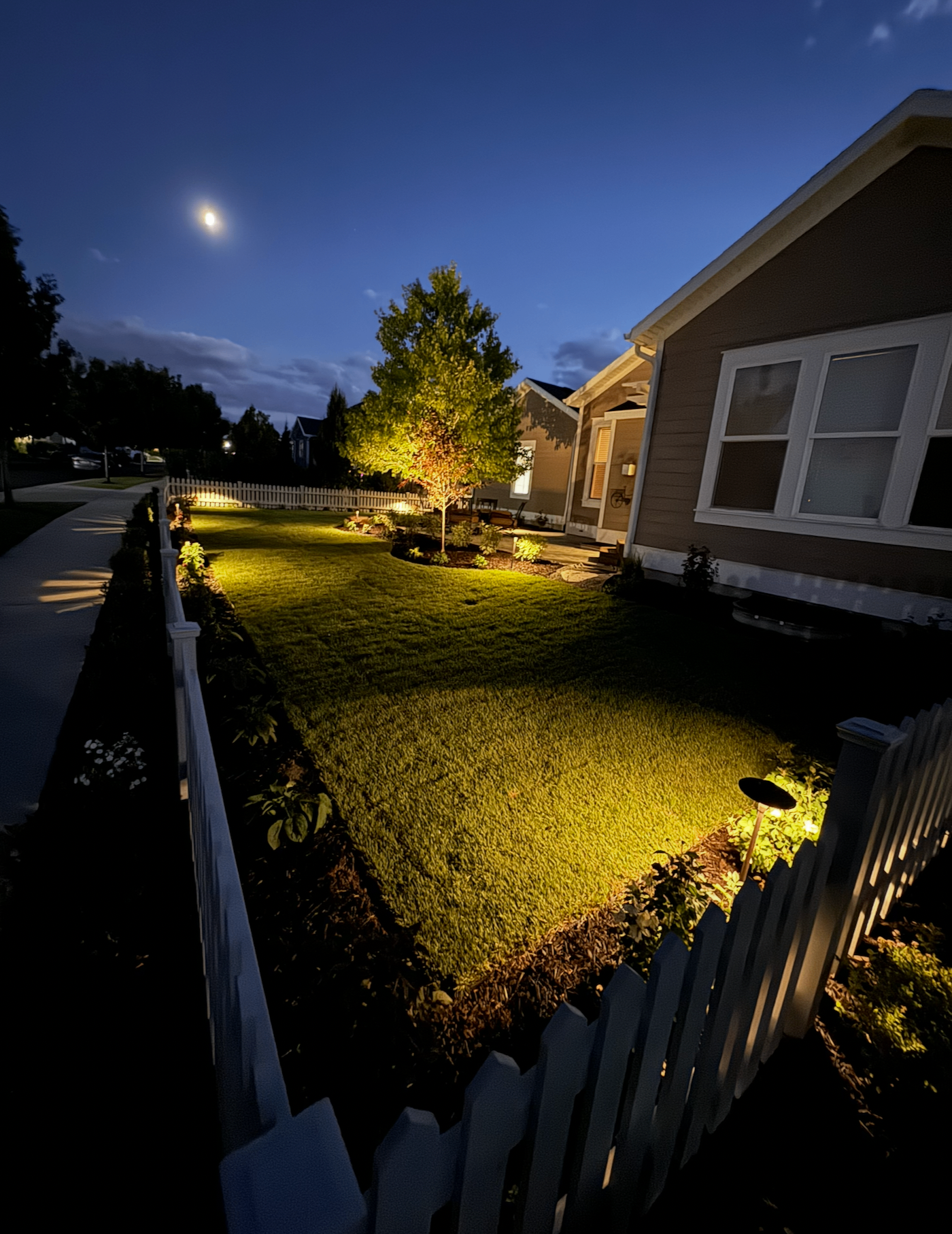 Nighttime landscape lighting illuminating a front lawn and trees